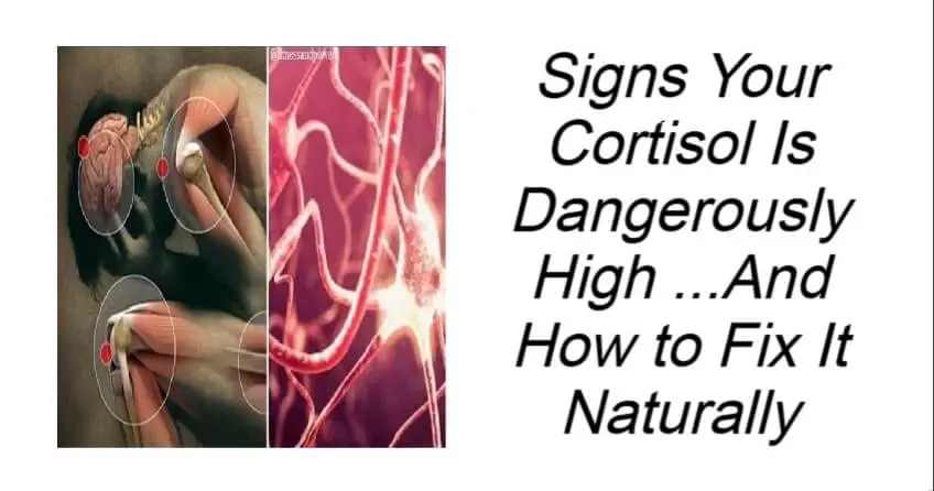 Signs Your Cortisol Is Dangerously High