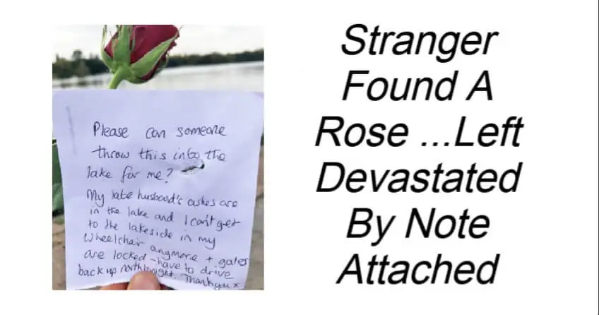 Stranger Found A Rose
