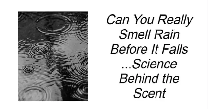 Can You Really Smell Rain Before It Falls