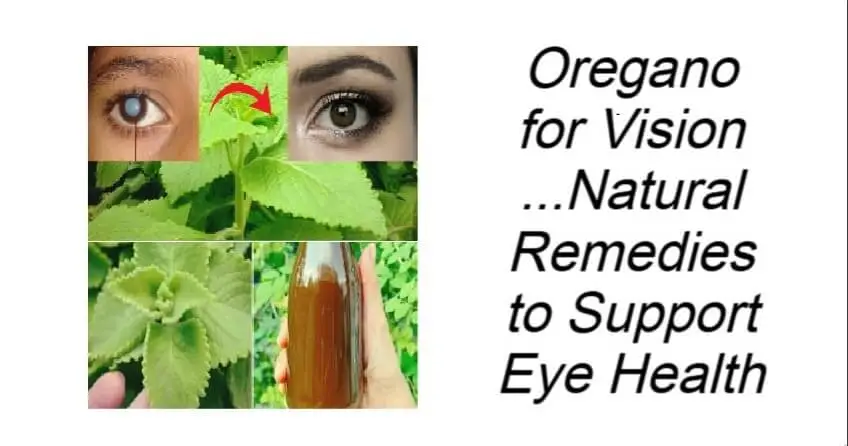 Oregano for Vision