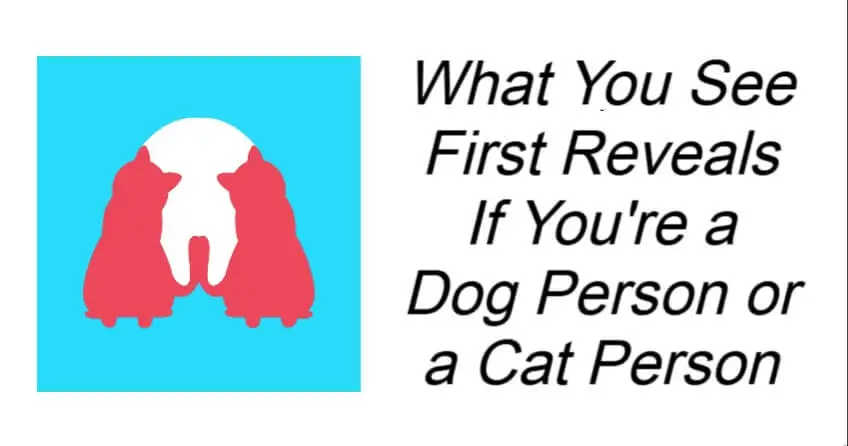 What You See First Reveals If You're a Dog Person or a Cat Person