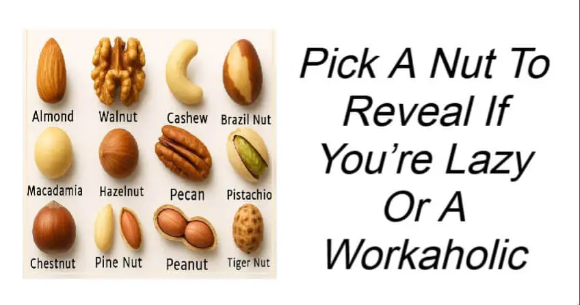 Pick A Nut To Reveal If You’re Lazy Or A Workaholic