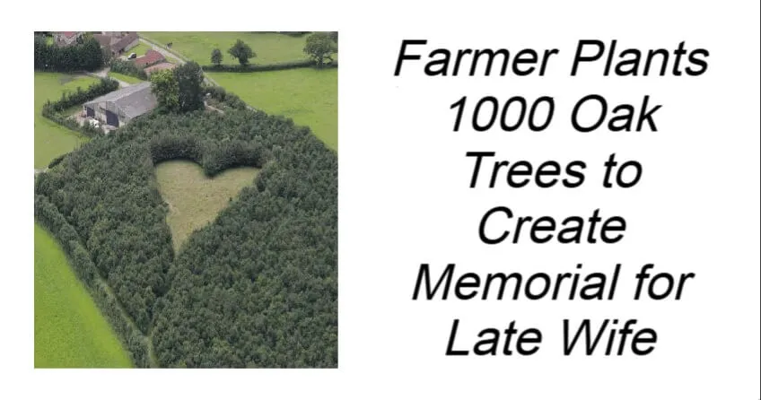 Farmer Plants 1000 Oak Trees