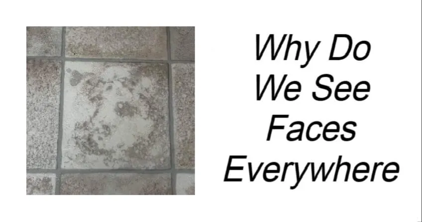 Why Do We Perceive Faces in Ordinary Objects