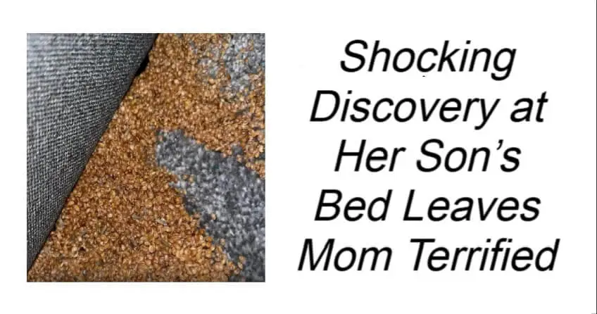 Shocking Discovery at Her Son’s Bed Leaves Mom Terrified