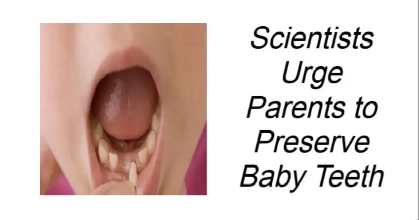 Scientists Urge Parents to Preserve Baby Teeth
