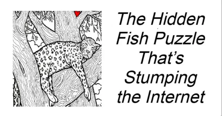 The Hidden Fish Puzzle That’s Stumping the Internet