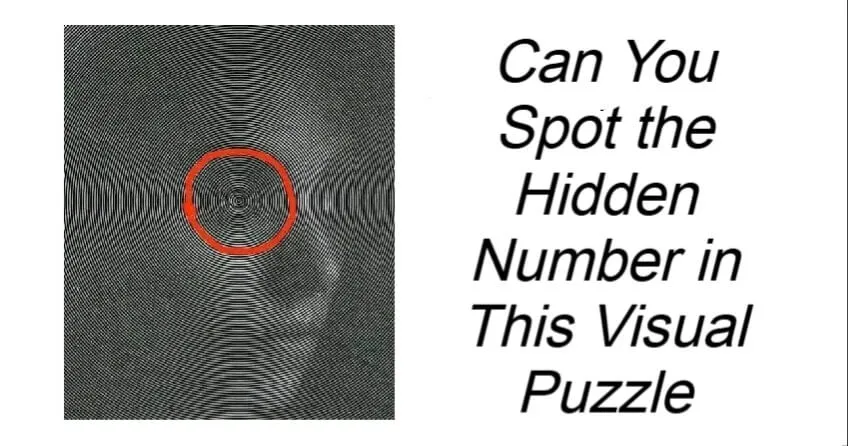 Can You Spot the Hidden Number