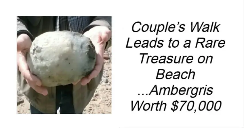 Couple’s Walk Leads to a Rare Treasure on Beach