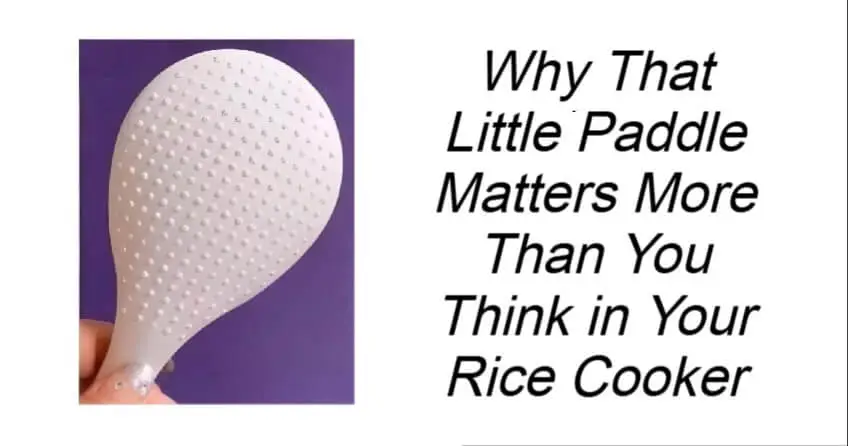 Why That Little Paddle Matters More Than You Think