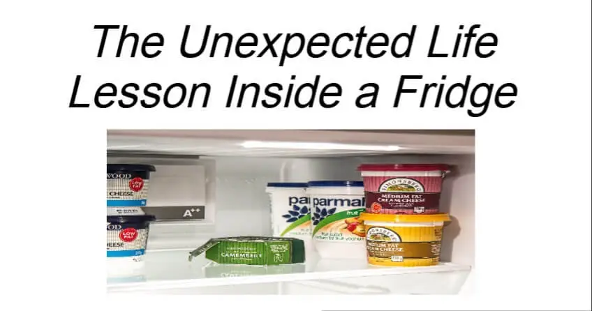 The Unexpected Life Lesson Inside a Fridge
