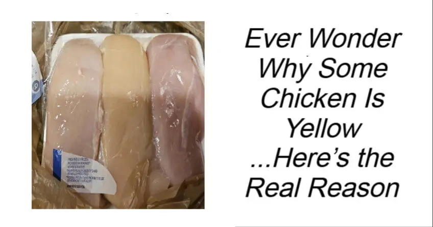 Ever Wonder Why Some Chicken Is Yellow