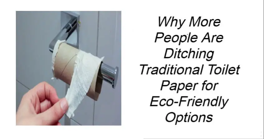 Why More People Are Ditching Traditional Toilet Paper
