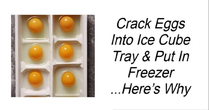 Crack Eggs Into Ice Cube Tray