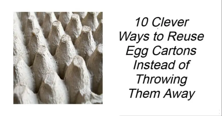 10 Clever Ways to Reuse Egg Cartons