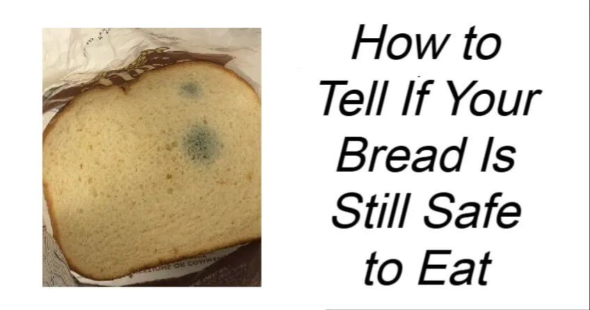 How to Tell If Your Bread Is Still Safe to Eat