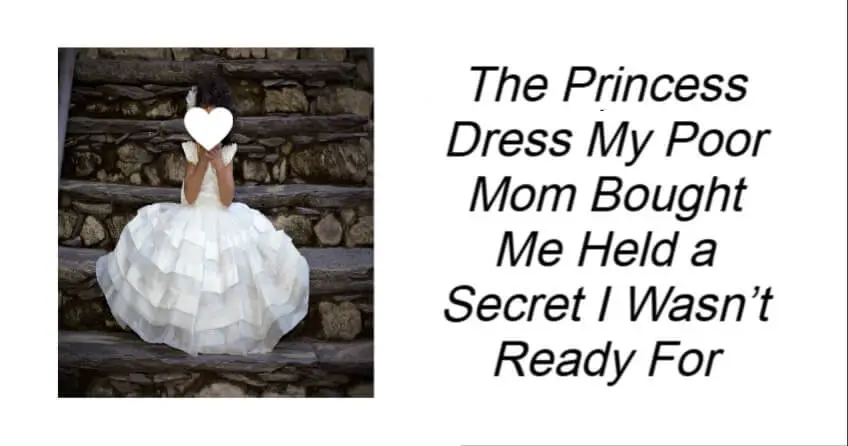 The Princess Dress My Poor Mom Bought Me