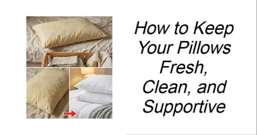 How to Keep Your Pillows Fresh