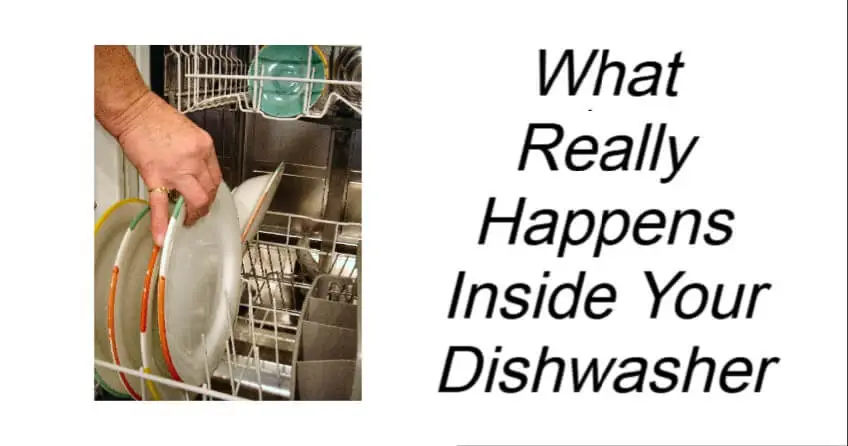 What Really Happens Inside Your Dishwasher