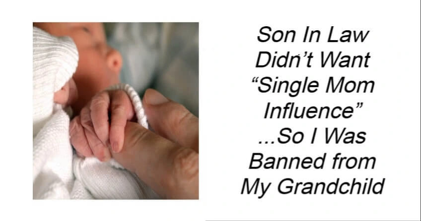 Son In Law Didn’t Want “Single Mom Influence”