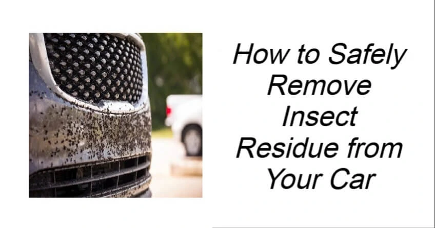 How to Safely Remove Insect Residue from Your Car