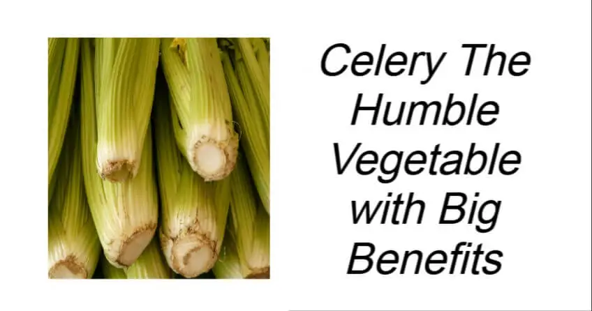 Celery The Humble Vegetable with Big Benefits