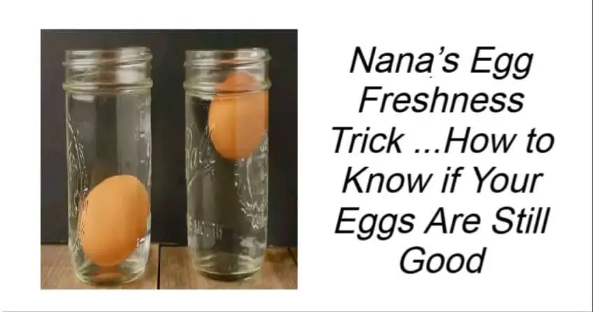 Nana’s Egg Freshness Trick