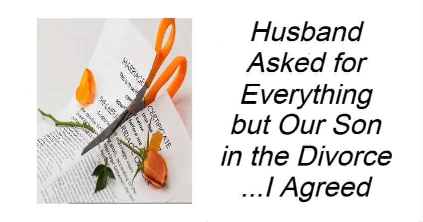 Husband Asked for Everything but Our Son in the Divorce