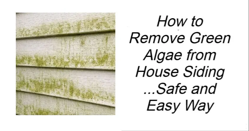 How to Remove Green Algae