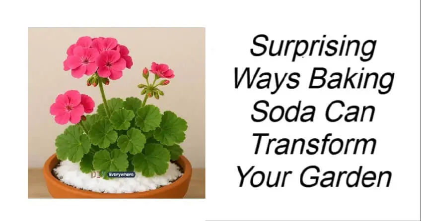 Surprising Ways Baking Soda Can Transform Your Garden