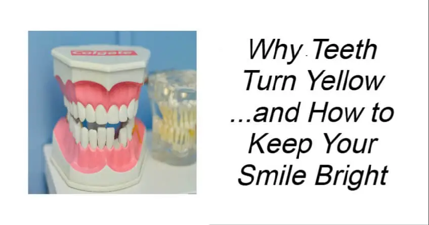 Why Teeth Turn Yellow