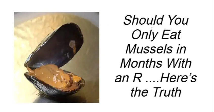 Should You Only Eat Mussels in Months With an R