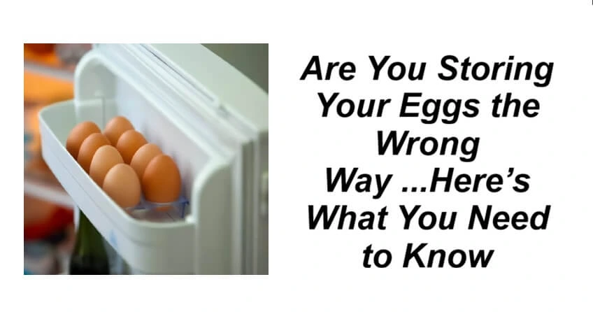 Are You Storing Your Eggs the Wrong Way