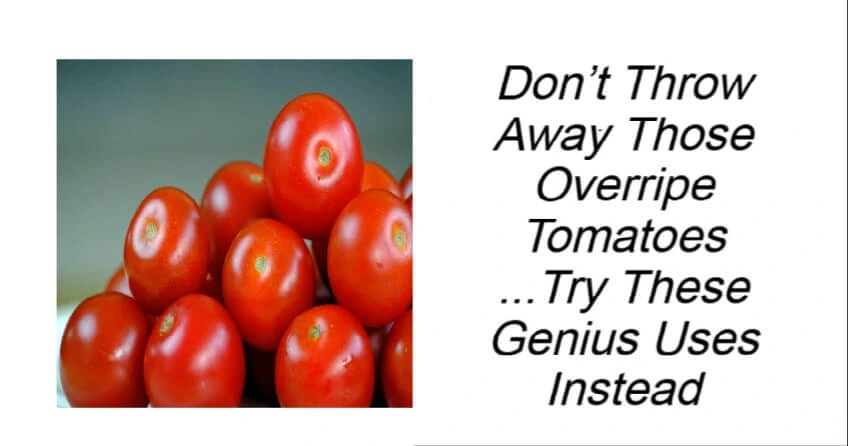 Don’t Throw Away Those Overripe Tomatoes