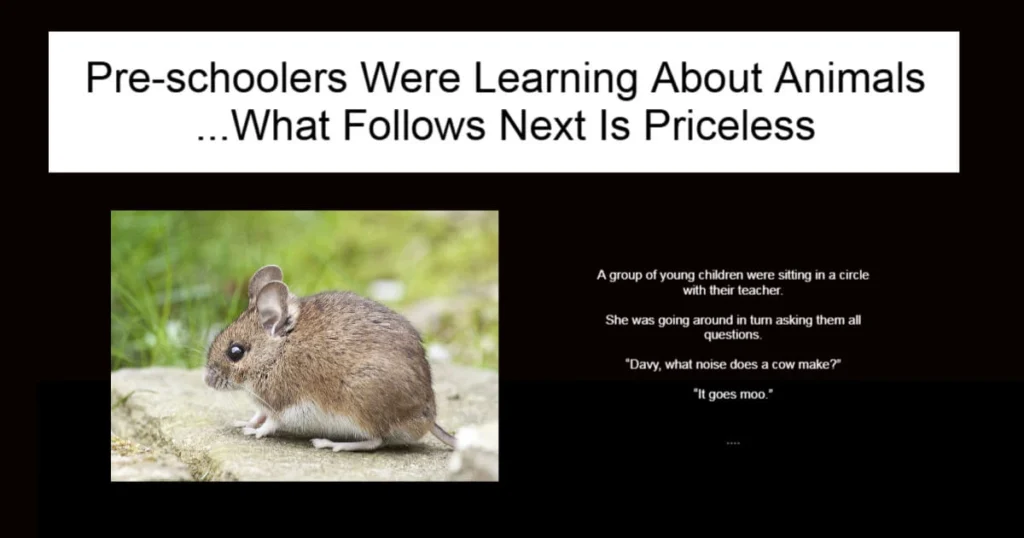 Pre-schoolers Were Learning About Animals