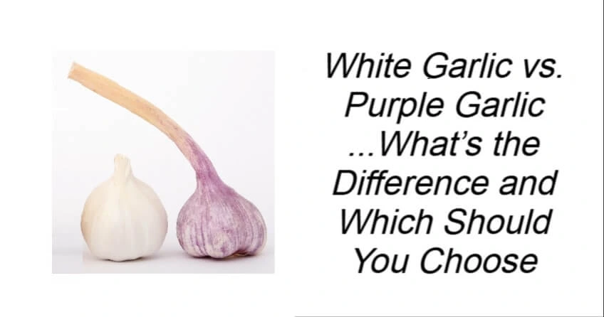White Garlic vs. Purple Garlic