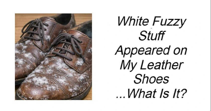 White Fuzzy Stuff Appeared on My Leather Shoes