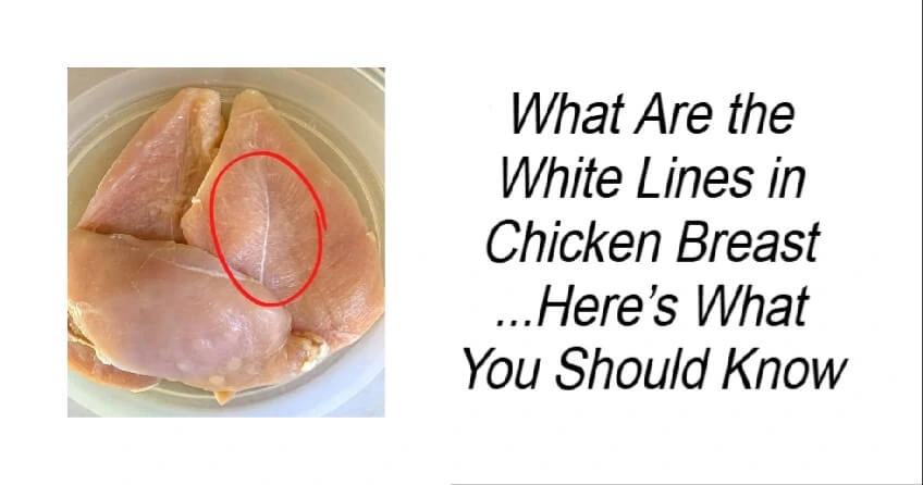 What Are the White Lines in Chicken Breast