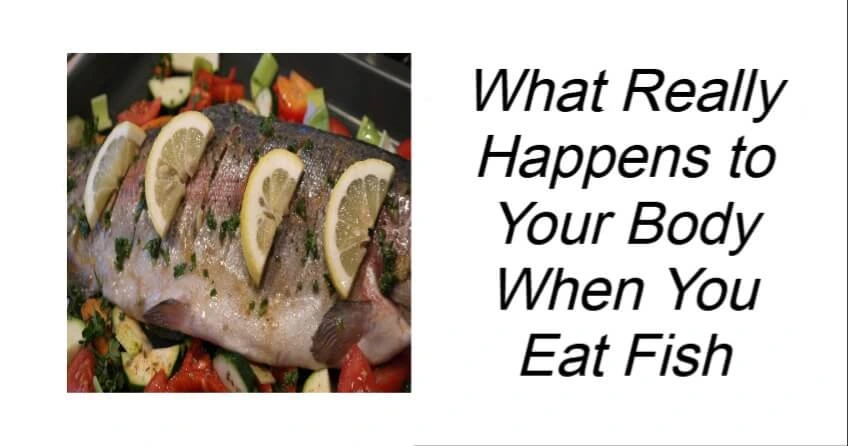 What Really Happens to Your Body When You Eat Fish
