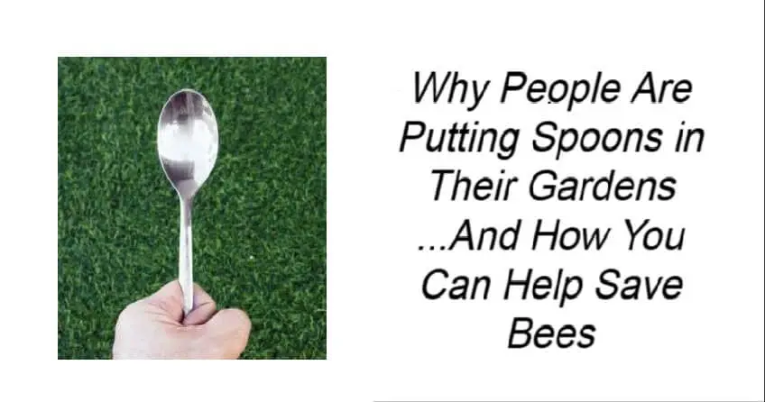 Why People Are Putting Spoons in Their Gardens