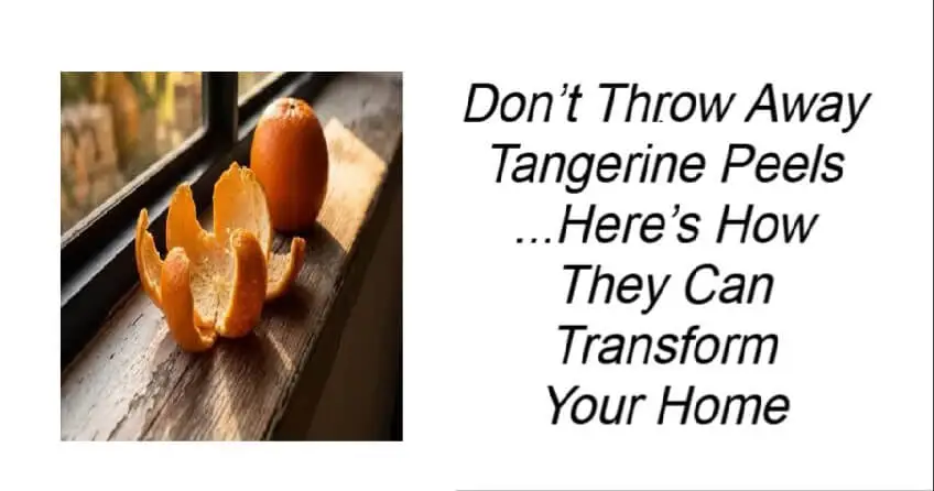 Don’t Throw Away Tangerine Peels