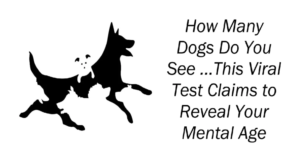 How Many Dogs Do You See