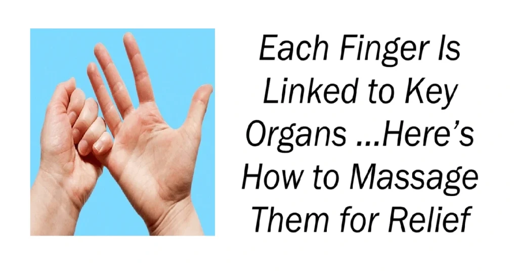 Each Finger Is Linked to Key Organs