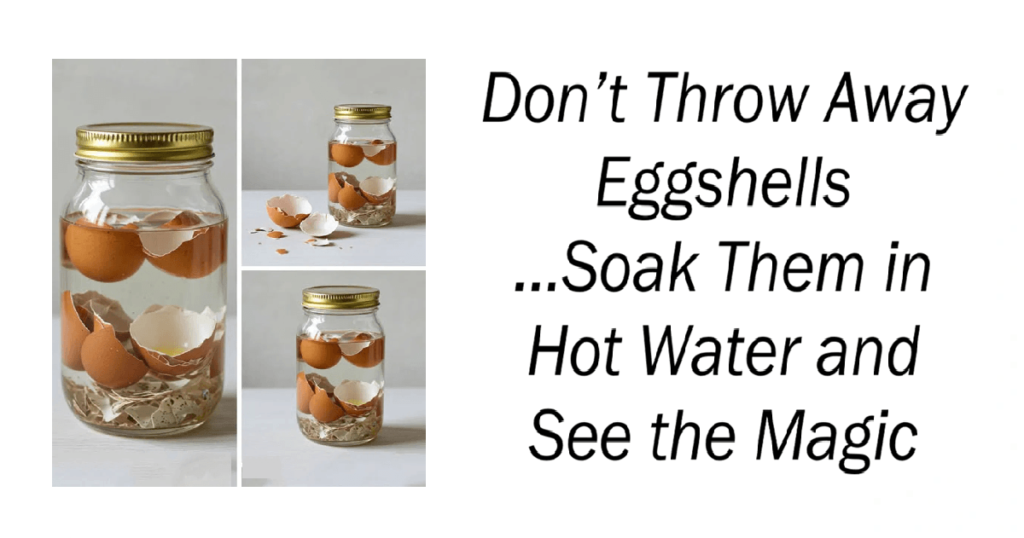 Don’t Throw Away Eggshells