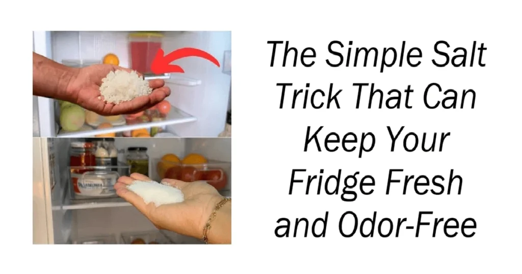 Salt Trick That Can Keep Your Fridge Fresh