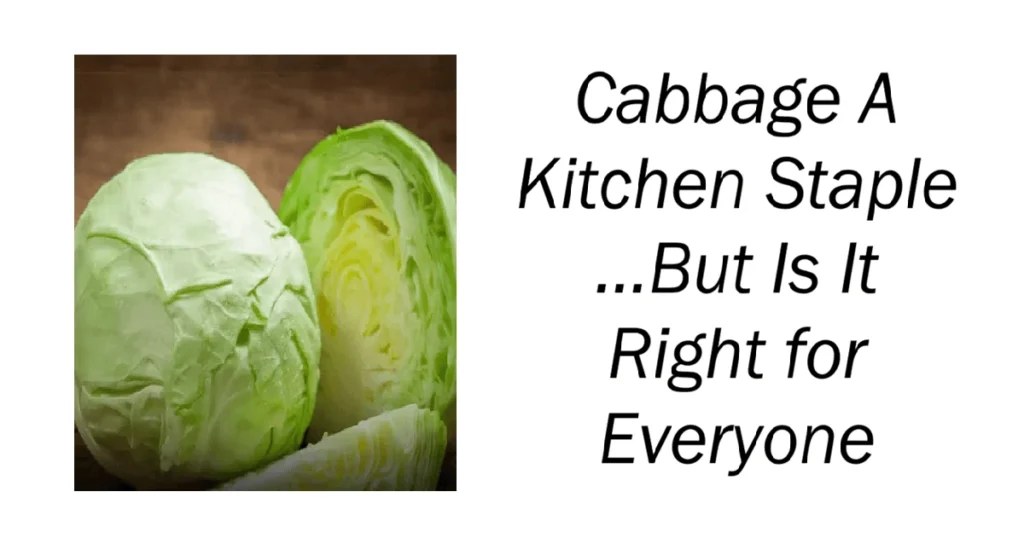 Cabbage A Kitchen Staple