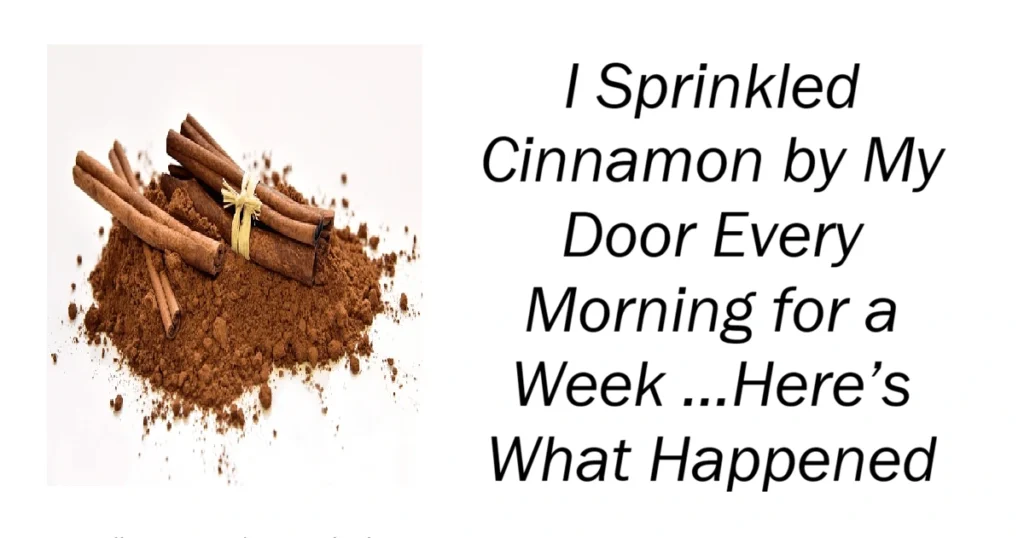 I Sprinkled Cinnamon by My Door