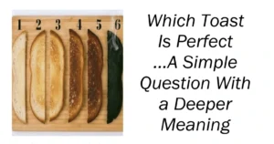 Which Toast Is Perfect