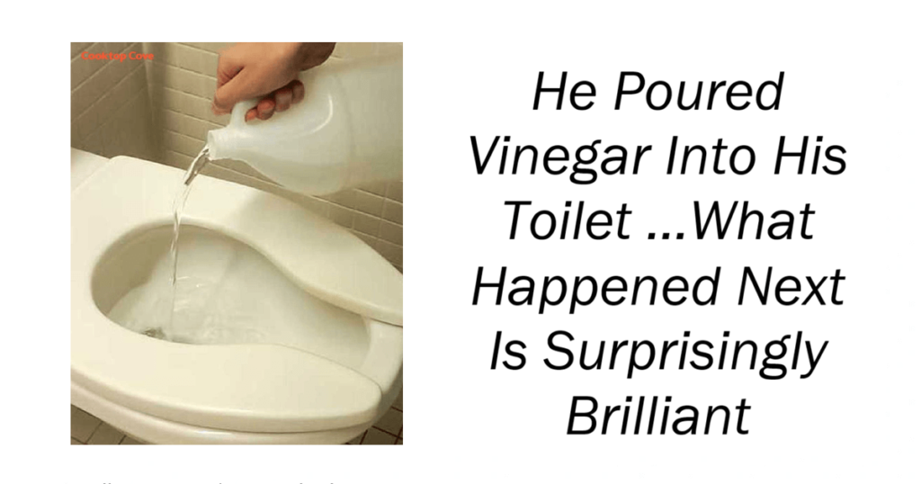 He Poured Vinegar Into His Toilet