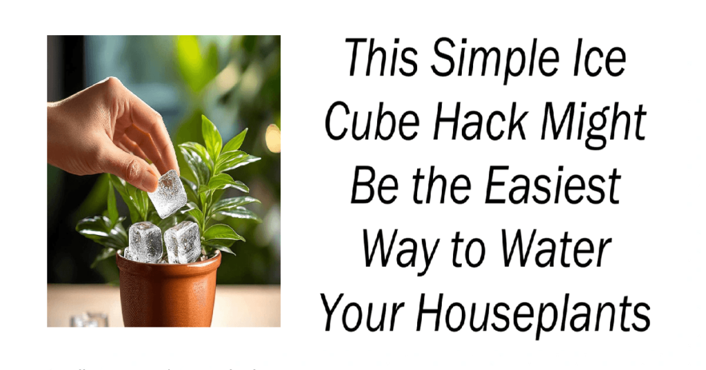 Ice Cube Hack Easiest Way to Water Your Houseplants